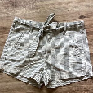American Eagle Outfitters Navy and White striped Shorts